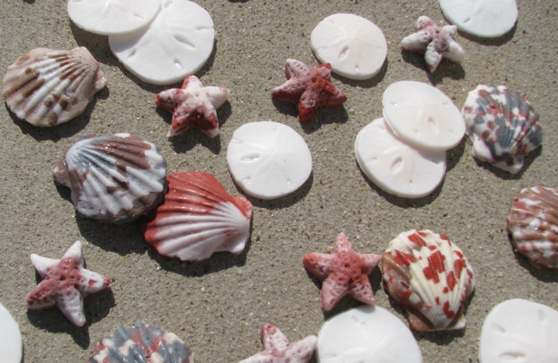 Seashell embeds